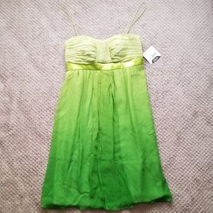 NWT 100% Silk Donna Morgan Dress